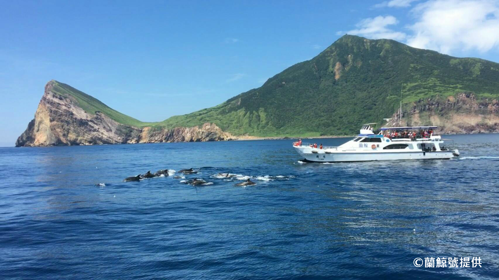 台湾でクジラを見よう 宜蘭 亀山島ホエールウォッチング一日ツアー 美麗 メイリー 台湾 まだ見たことのない台湾旅